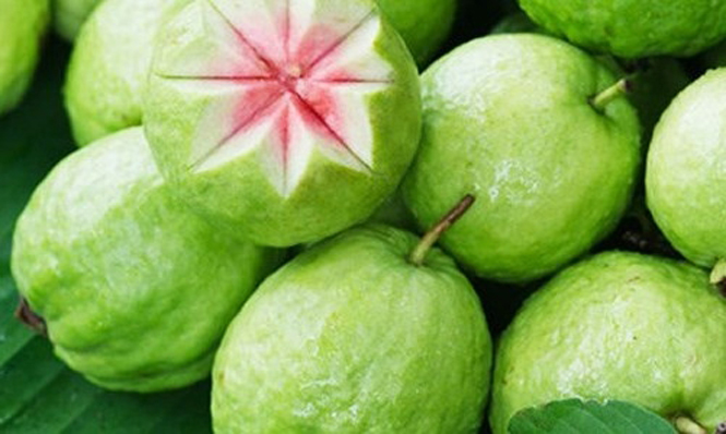 Ăn ổi giúp chống lão hóa, giảm cholesterol