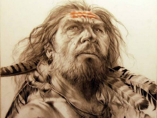 Phác họa về người Neanderthal. (Nguồn: livescience)