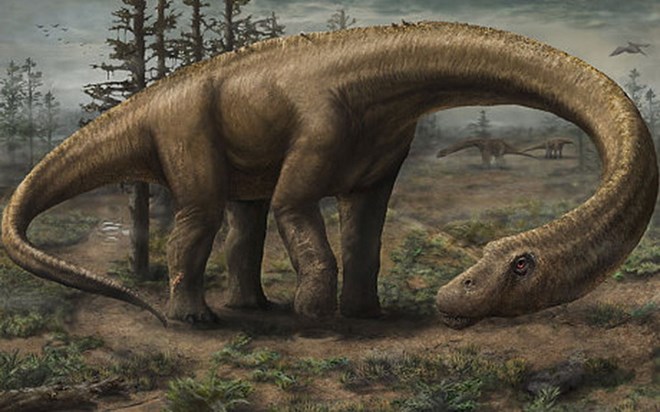 Mô phỏng Dreadnoughtus schrani trên máy tính (Nguồn: Telegraph)