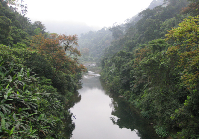 Diện tích rừng ở khu vực Động Châu-khe Nước Trong được  bảo vệ nghiêm ngặt nhằm bảo tồn đa dạng sinh học.
