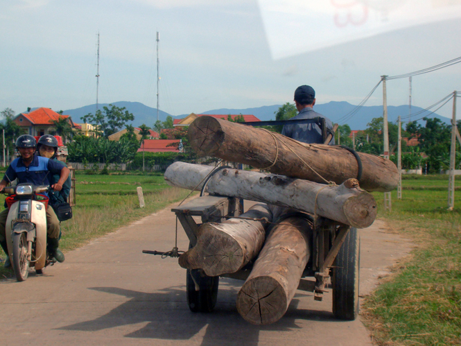 Và thỏa sức chở quá tải.