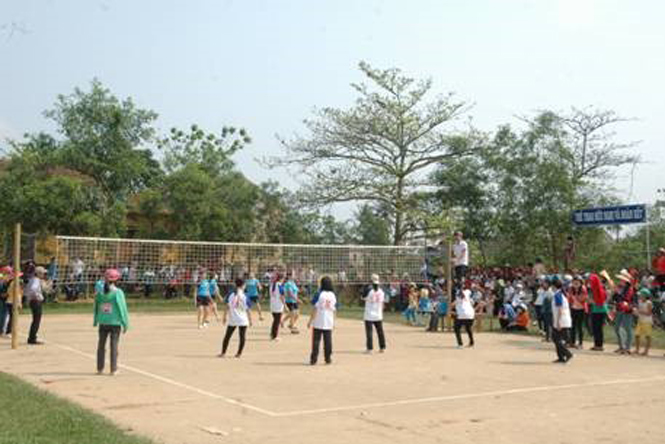 Hoạt động thể dục thể thao của trường