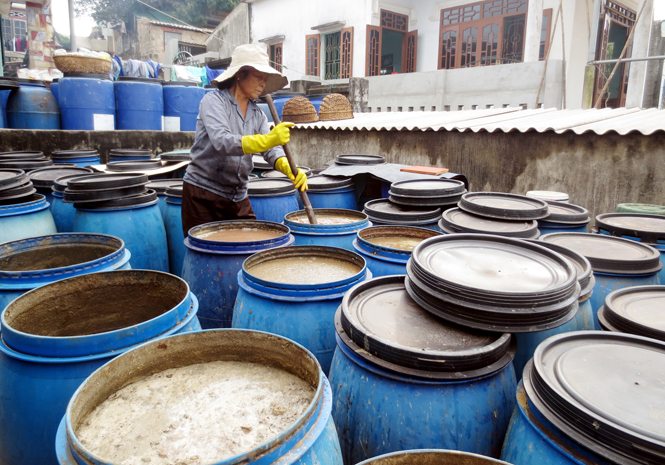 Chị Hoàng Thị Thương (Trung Bính, Bảo Ninh, TP.Đồng Hới) gắn bó với nghề làm mắm đã gần 20 năm