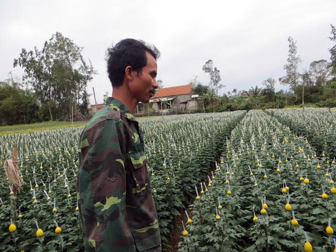 Anh Khiều bên những luống hoa tươi sẵn sàng phục vụ dịp Tết Nguyên đán.