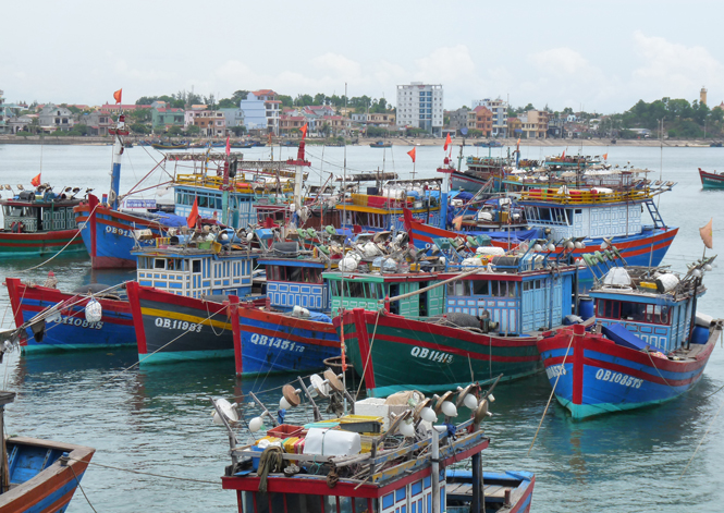 Đội tàu thuyền đánh bắt xa bờ của thôn Cừa Phú, xã Bảo Ninh ngày càng lớn mạnh.  Ảnh: T.H
