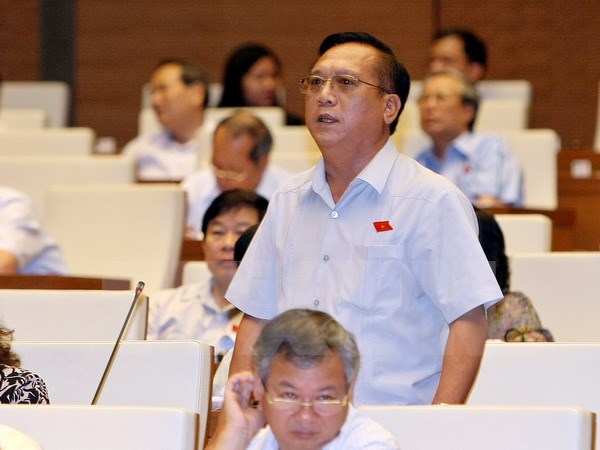 Đại biểu Quốc hội tỉnh Đắk Lắk Trần Đình Sơn phát biểu ý kiến. (Ảnh: Phạm Kiên/TTXVN)