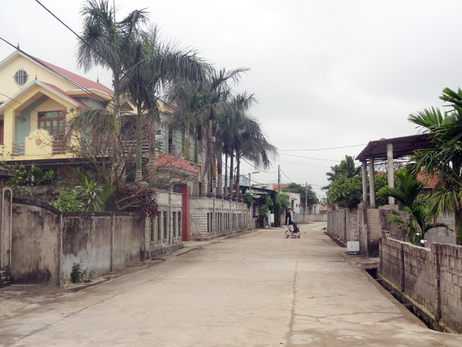 Diện mạo nông thôn Đức Ninh đang ngày càng khởi sắc.