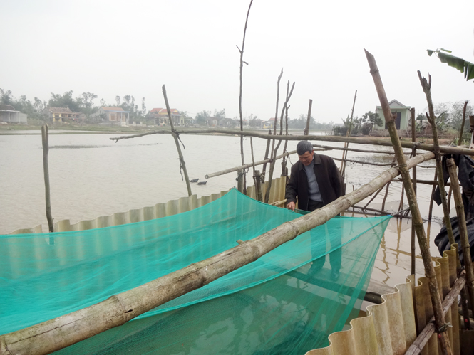 Mô hình nuôi ếch thương phẩm của CCB Trần Đình Giắng (Quảng Hải).