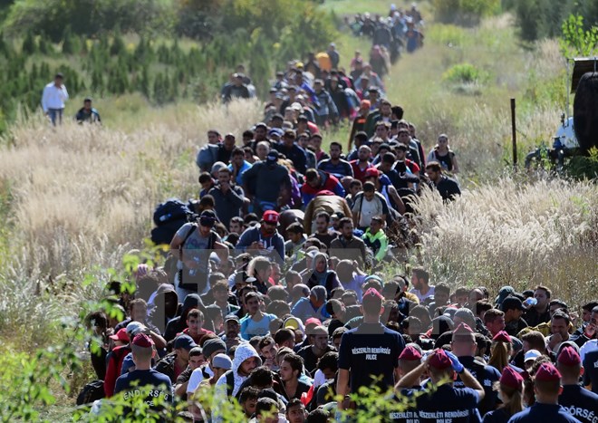 Dòng ​người di cư tại khu vực biên giới Hungary-Croatia ngày 21-9. (Ảnh: AFP/TTXVN)