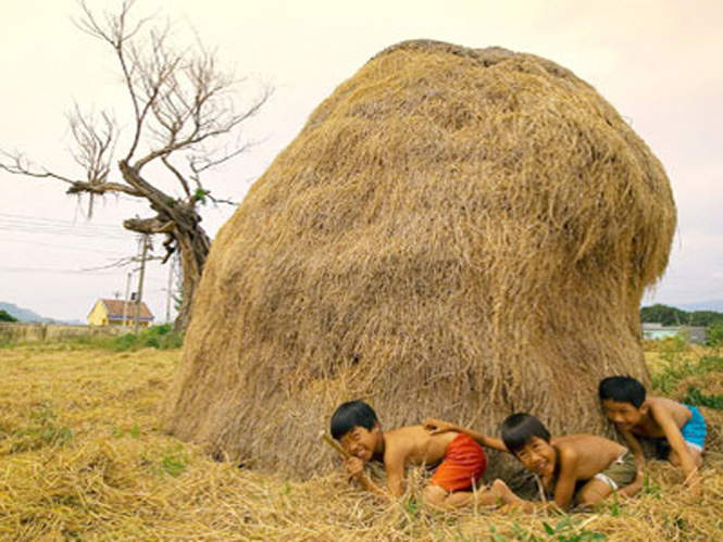 Ảnh minh họa (Nguồn: internet)