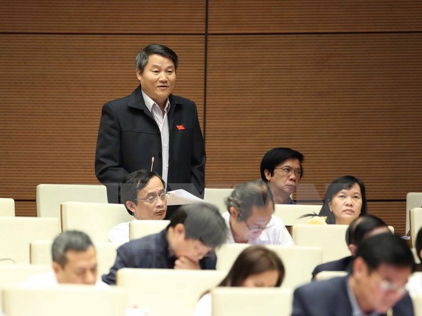 Đại biểu Quốc hội tỉnh Tiền Giang Nguyễn Văn Tiên phát biểu ý kiến. (Ảnh: Phương Hoa/TTXVN)