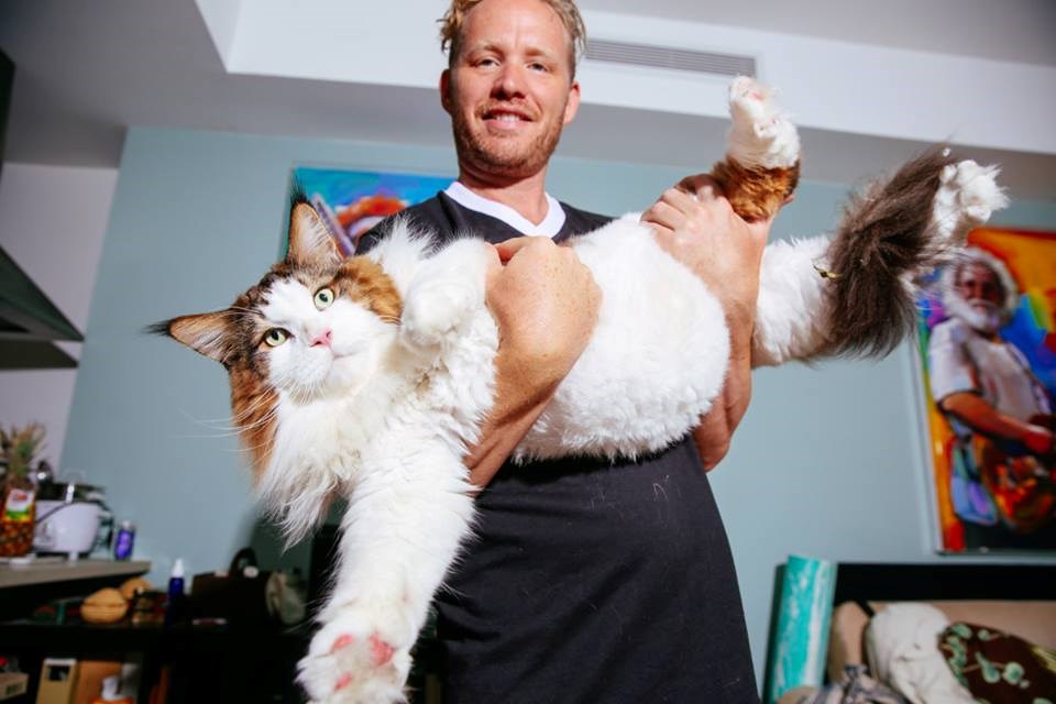 Con mèo đang nắm giữ ngôi vị mèo lớn nhất thế giới trong danh sách của Kỷ lục Guiness vừa mới qua đời, vì vậy, Samon đang là ứng cử viên sáng giá cho danh hiệu này. (Nguồn: CCTVNews)