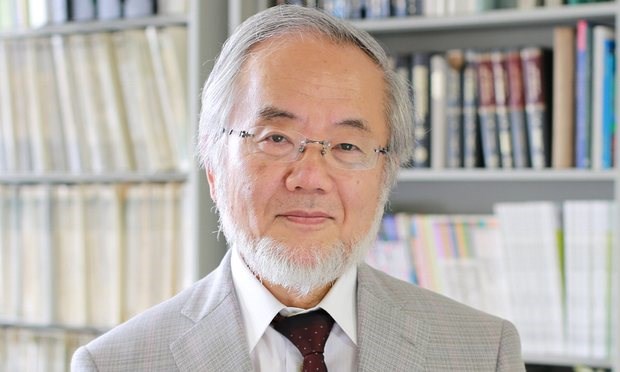 Giáo sư người Nhật Bản Yoshinori Ohsumi. (Nguồn: Reuters)