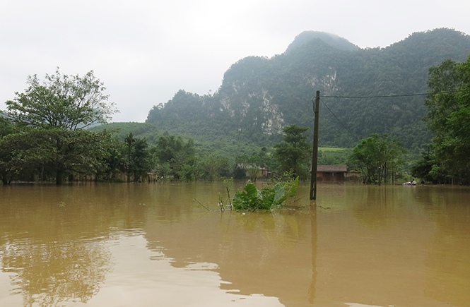 Tuyến đường Hồ Chí Minh đoạn qua thôn Phú Nhiêu, xã Thượng Hóa, thường xuyên bị ngập lụt nặng trong mùa mưa lũ và gây ách tắc giao thông hoàn toàn trong nhiều ngày.
