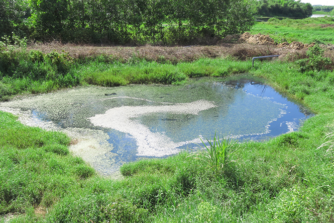 Một cơ sở sản xuất xả thải gây ô nhiễm môi trường nguồn nước.