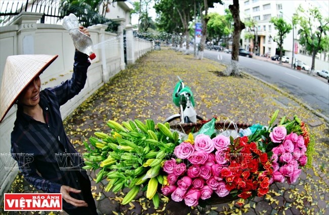 Ảnh minh họa. (Nguồn: Báo Ảnh Việt Nam)