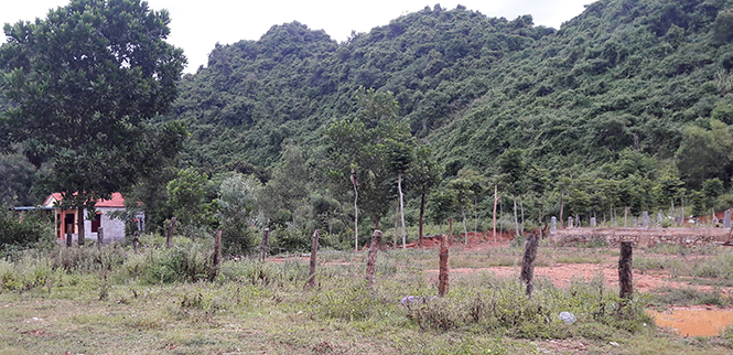 Nhiều hộ gia đình tại địa phương đã tự ý chuyển mục đích sử dụng đất trái phép.