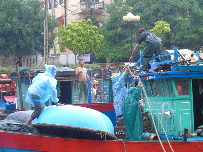  Ngư dân Quảng Trạch chằng chéo tàu thuyền tại khu neo đậu.