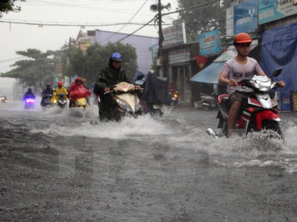 Ảnh chỉ có tính minh họa. (Ảnh: Tuấn Anh/TTXVN)