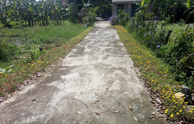 Những con đường hoa không chỉ làm đẹp mà còn góp phần bảo vệ môi trường xanh - sạch- đẹp ở thôn Lệ Kỳ 3, Vĩnh Ninh, Quảng Ninh.