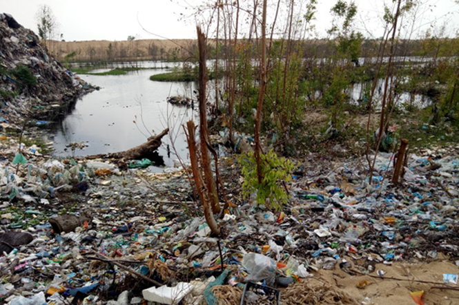 Bãi rác tự phát hơn 10 năm gây ô nhiễm môi trường.