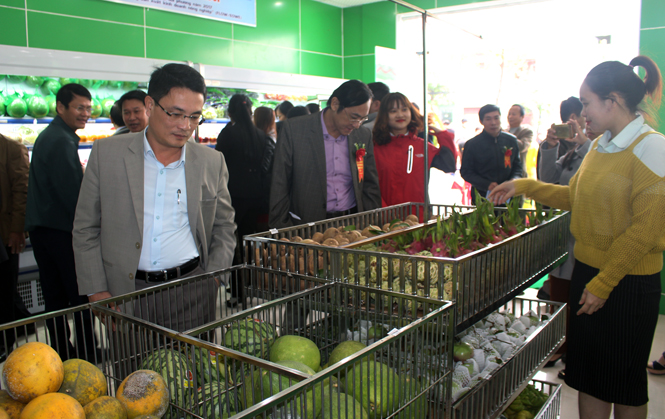 Các đại biểu tham quan các gian hàng tại cửa hàng Công ty CP thực phẩm xanh Đông Dương.