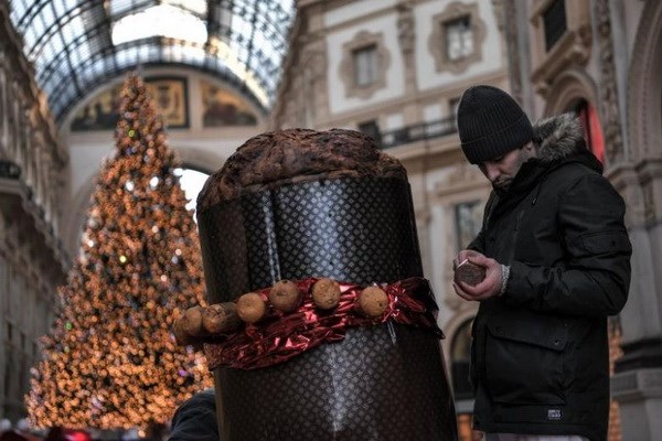 Nghệ nhân hoàn thành chiếc bánh panettone khổng lồ. (Nguồn: AFP)