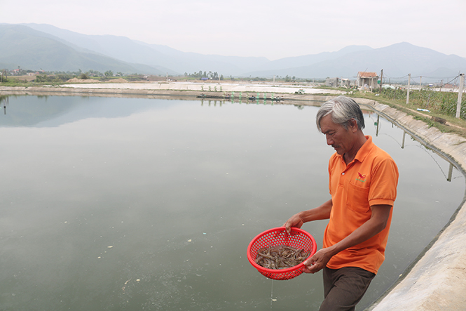 "Áo mới" Quảng Châu