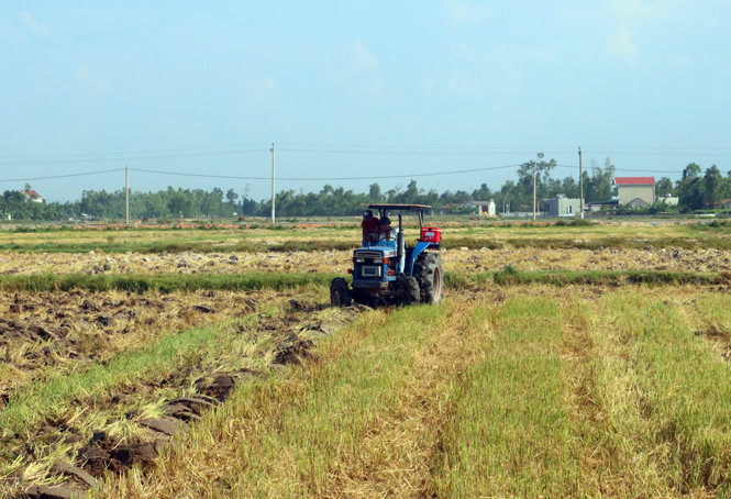 Đồng ruộng bậc thang ở xã Quảng Hưng trước đây đã được cải tạo lại bằng phẳng hơn.