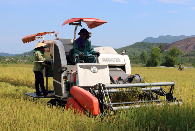 Cơ giới hóa sản xuất nông nghiệp giúp nông dân Tuyên Hóa tăng năng suất và sản lượng.