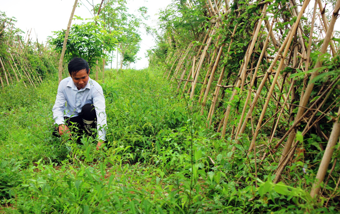 Tạo sức bật với khoa học công nghệ