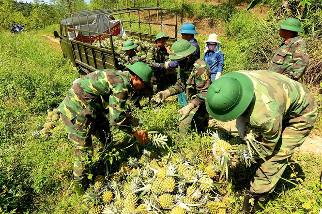 Thu hút doanh nghiệp đầu tư vào nông nghiệp, nông thôn