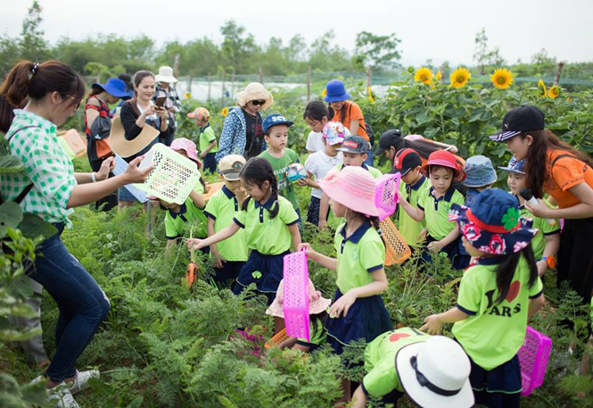 Các tour du lịch nông trại đang dần hình thành ở Quảng Bình.