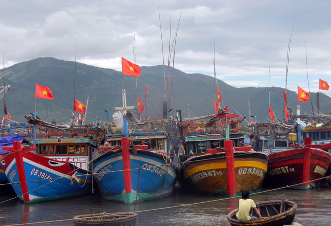Đội tàu đánh bắt xa bờ của ngư dân xã Cảnh Dương.
