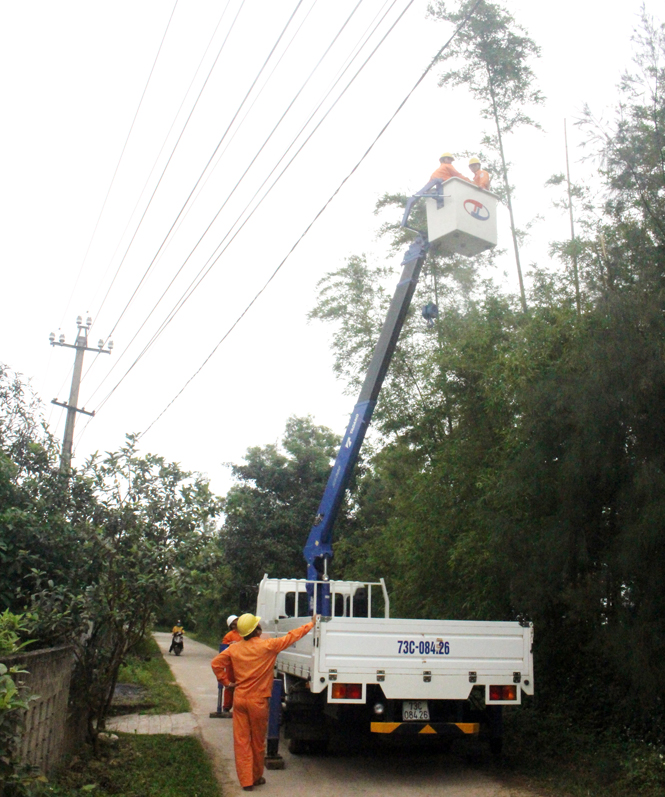 Công nhân Điện lực Bố Trạch phát quang cây cối bảo đảm hành lang an toàn lưới điện.