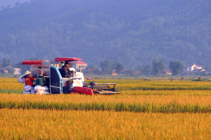 "Phát triển hợp tác xã bền vững thông qua hợp tác"
