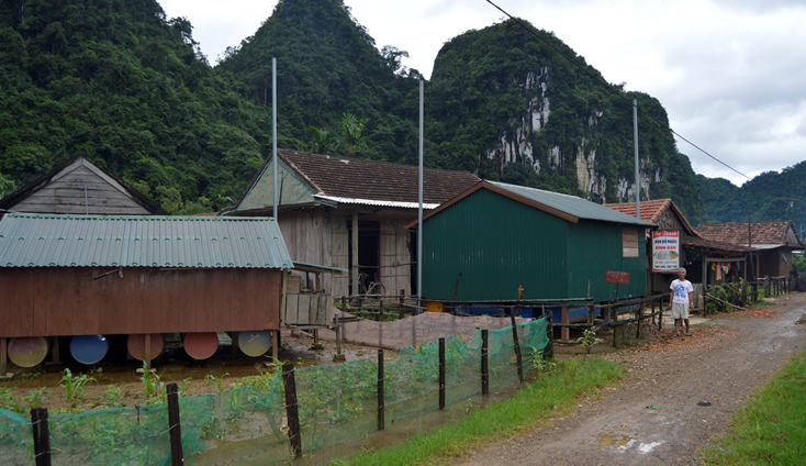 Ngạc nhiên Tân Hóa