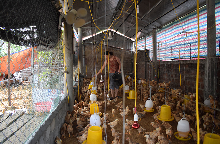 Xã Mỹ Trạch: Sáng tạo để giảm nghèo