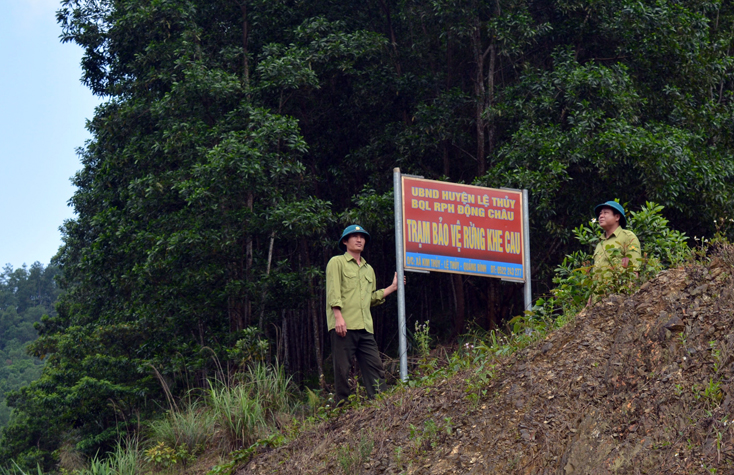 Toàn tỉnh khoán bảo vệ 352.777ha rừng