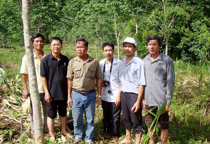 Gốc "A Loang Ma Kẹo" ở Thượng Trạch