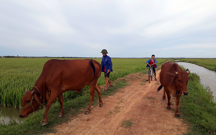 Các HTX ở An Ninh (Quảng Ninh):  Chấm dứt những khoản thu "bất hợp lý"