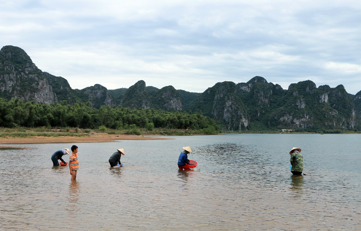 Vẹn tình sản vật dòng Gianh