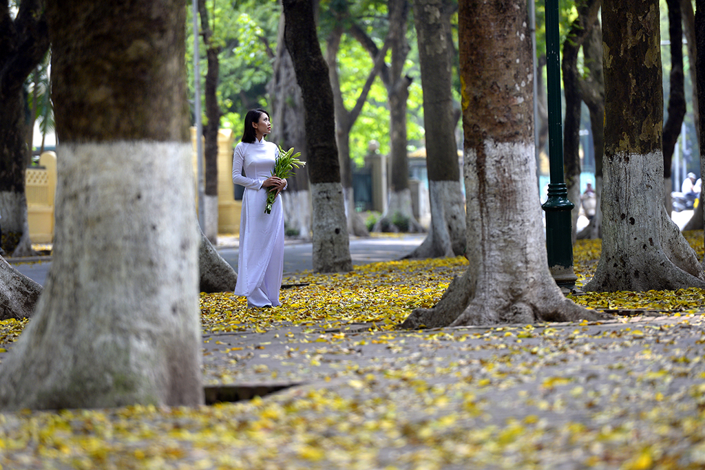 Mùa thu và phố