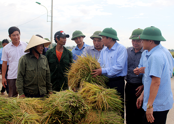 Phát huy vai trò nòng cốt của nông dân, góp phần xây dựng Quảng Bình phát triển nhanh, bền vững