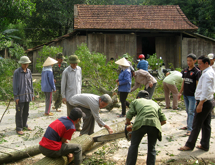 Nông dân Quảng Bình chung sức xây dựng nông thôn mới