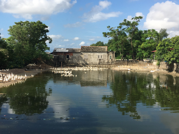 Lệ Thủy tích cực thi đua xóa đói giảm nghèo