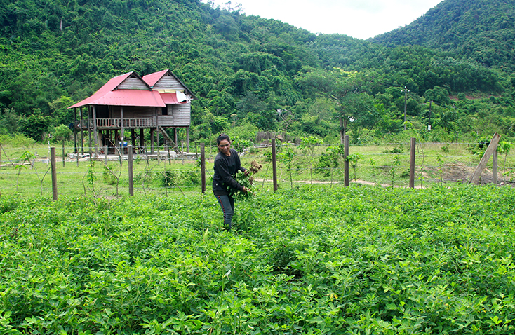 "Nặng gánh" giảm nghèo