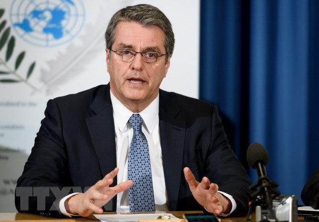 Tổng Giám đốc WTO thừa nhận cần cải cách thương mại toàn cầu