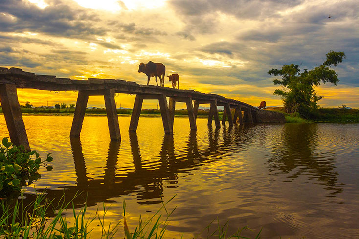 Hoàng hôn một miền quê