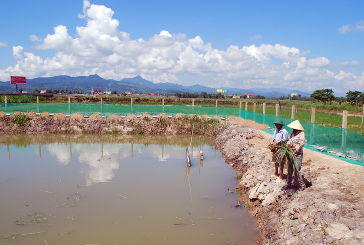 Chuyện làm VAC ở Võ Ninh